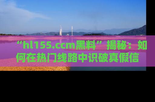 “hl155.ccm黑料”揭秘：如何在热门线路中识破真假信息