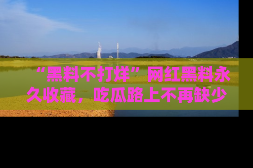 “黑料不打烊”网红黑料永久收藏，吃瓜路上不再缺少惊喜与乐趣