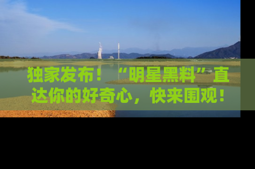 独家发布！“明星黑料”直达你的好奇心，快来围观！