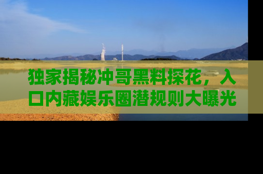 独家揭秘冲哥黑料探花，入口内藏娱乐圈潜规则大曝光