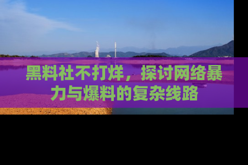 黑料社不打烊，探讨网络暴力与爆料的复杂线路