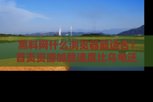 黑料网什么浏览器最适合？首页资源加载速度比乌龟还慢的体验真心吐槽！
