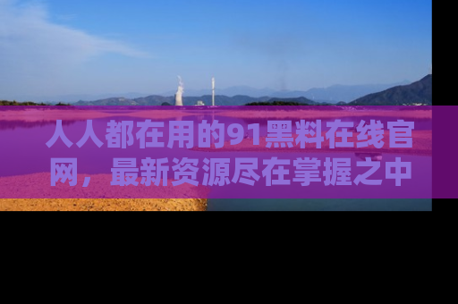人人都在用的91黑料在线官网，最新资源尽在掌握之中