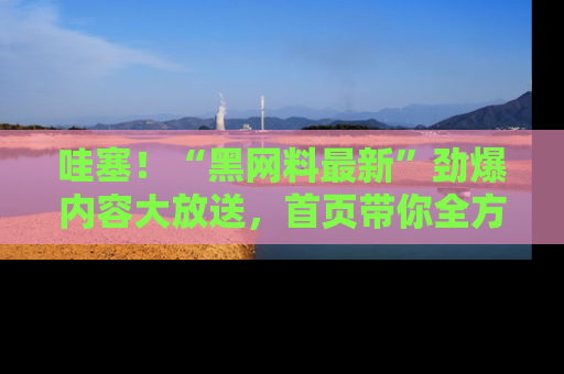 哇塞！“黑网料最新”劲爆内容大放送，首页带你全方位了解哦，小可爱们