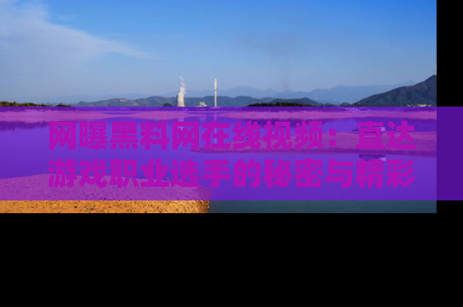 网曝黑料网在线视频：直达游戏职业选手的秘密与精彩动漫片段！