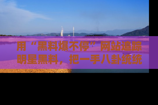 用“黑料爆不停”网站追踪明星黑料，把一手八卦统统收进你的后宫中！