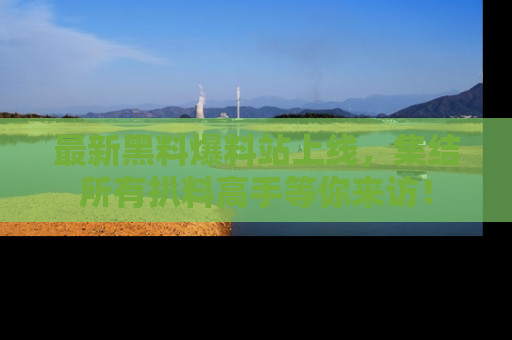 最新黑料爆料站上线，集结所有扒料高手等你来访！